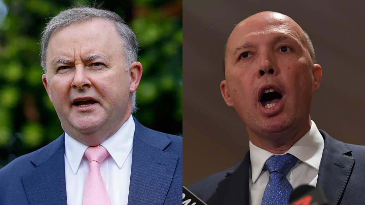 Labor Minister Anthony Albanese hits back at Peter Dutton.