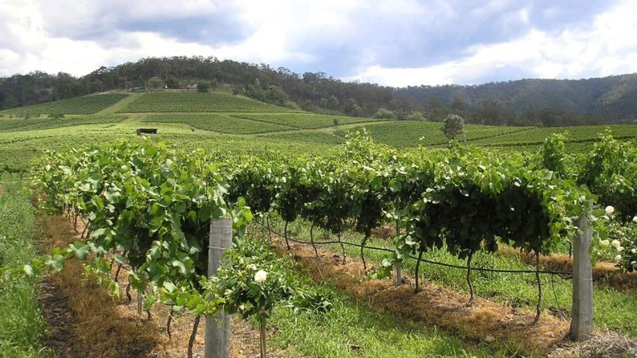 Hunter Valley