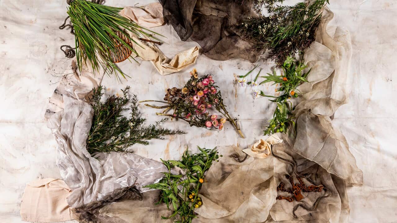 Blak Women's Healing - Hero - 2480.jpg