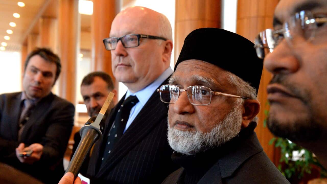 brandis.jpg