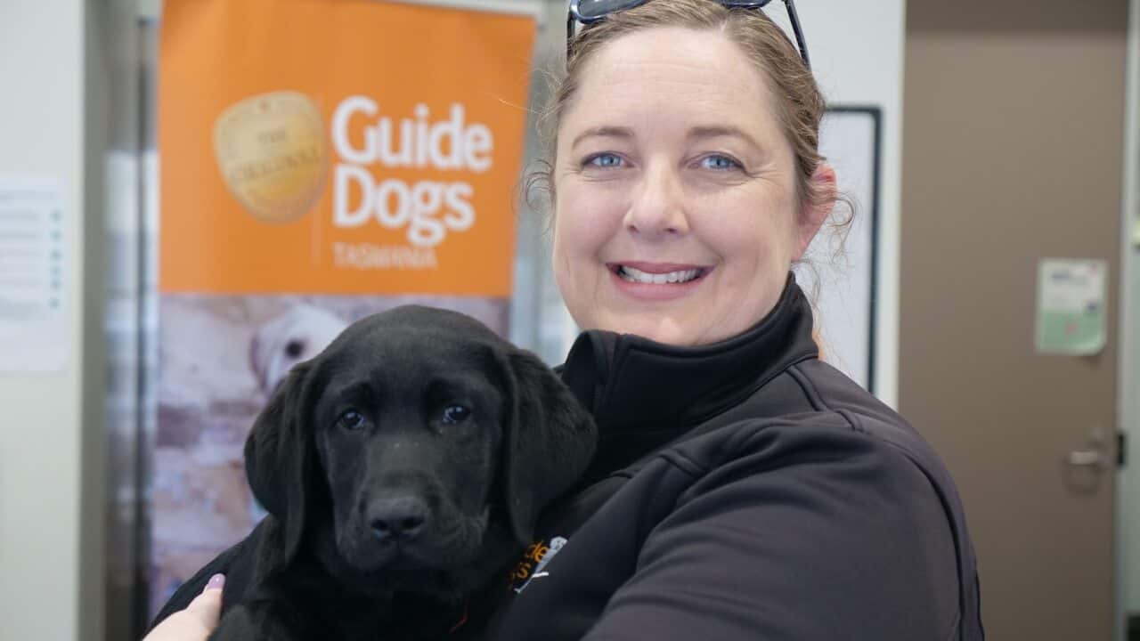 Kim Ryan and Dudley - SBS
