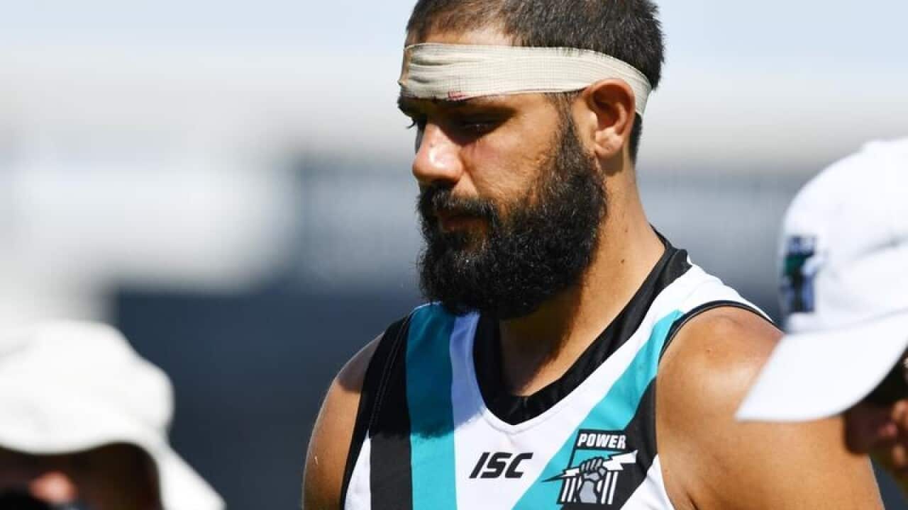 AFL JLT POWER KANGAROOS