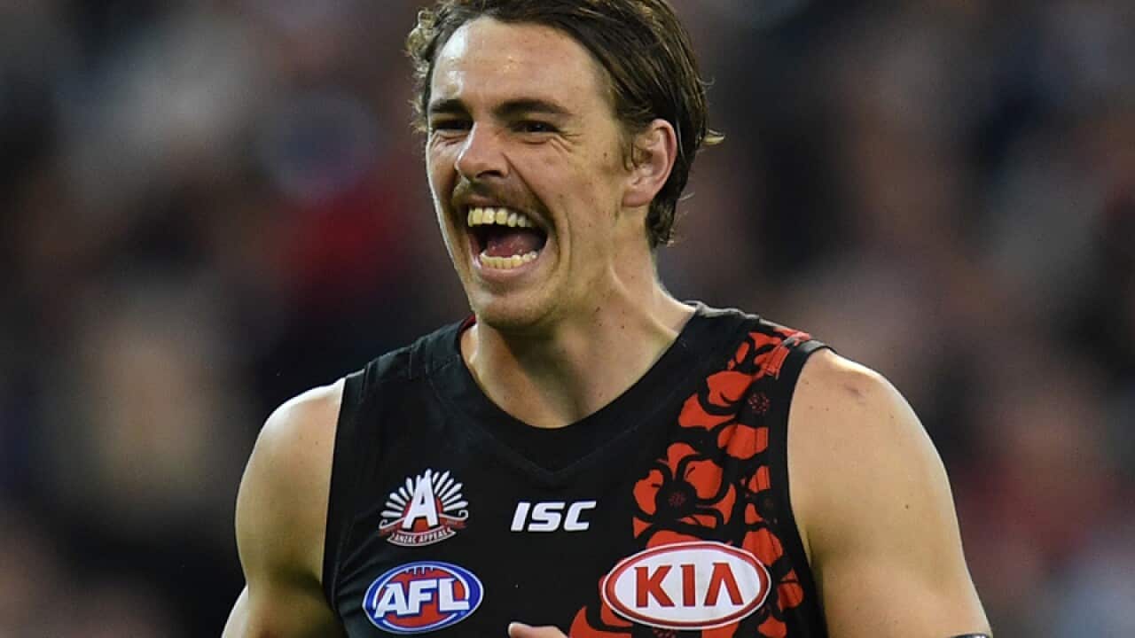 Joe Daniher of the Bombers