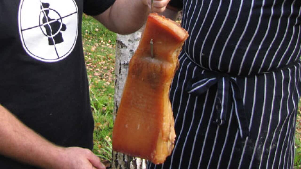 bacon_675901678