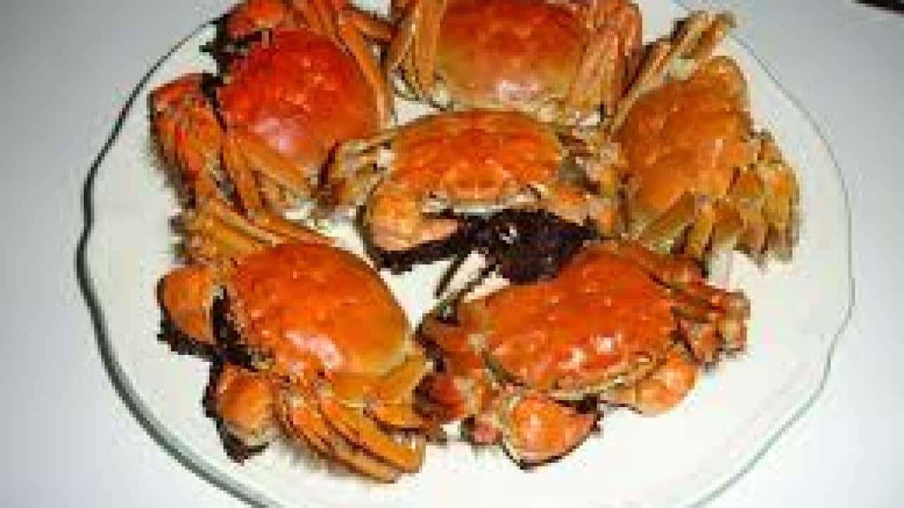 Cancer-linked chemicals found in Hong Kong hairy crab