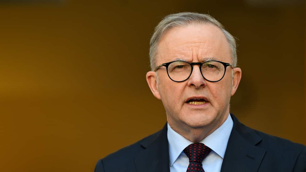 Anthony Albanese speaking in front of a brown background