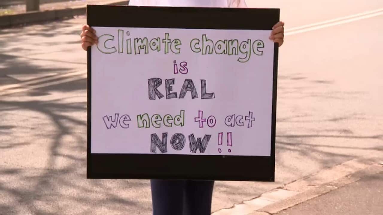 Lucie and her protest poster