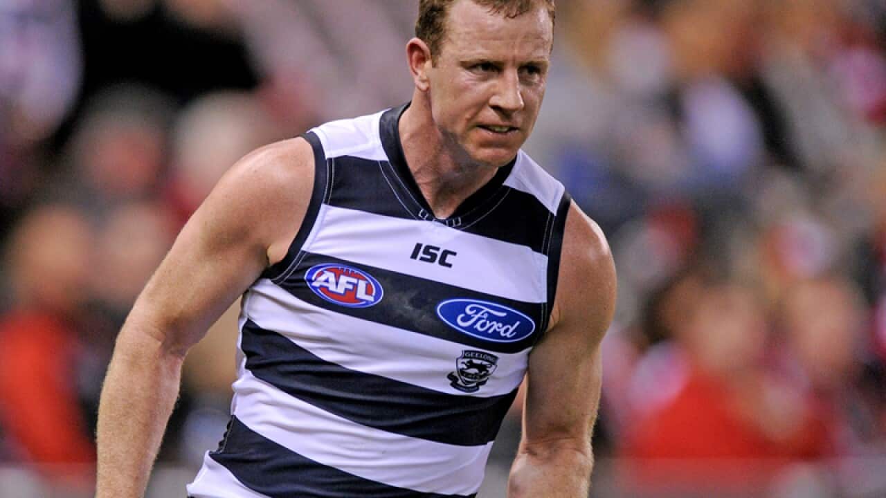 Steve Johnson of the Cats.