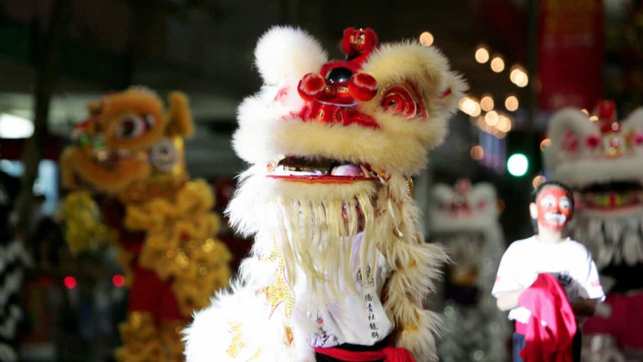 Sydney's Chinese community celebrating the Lunar New Year