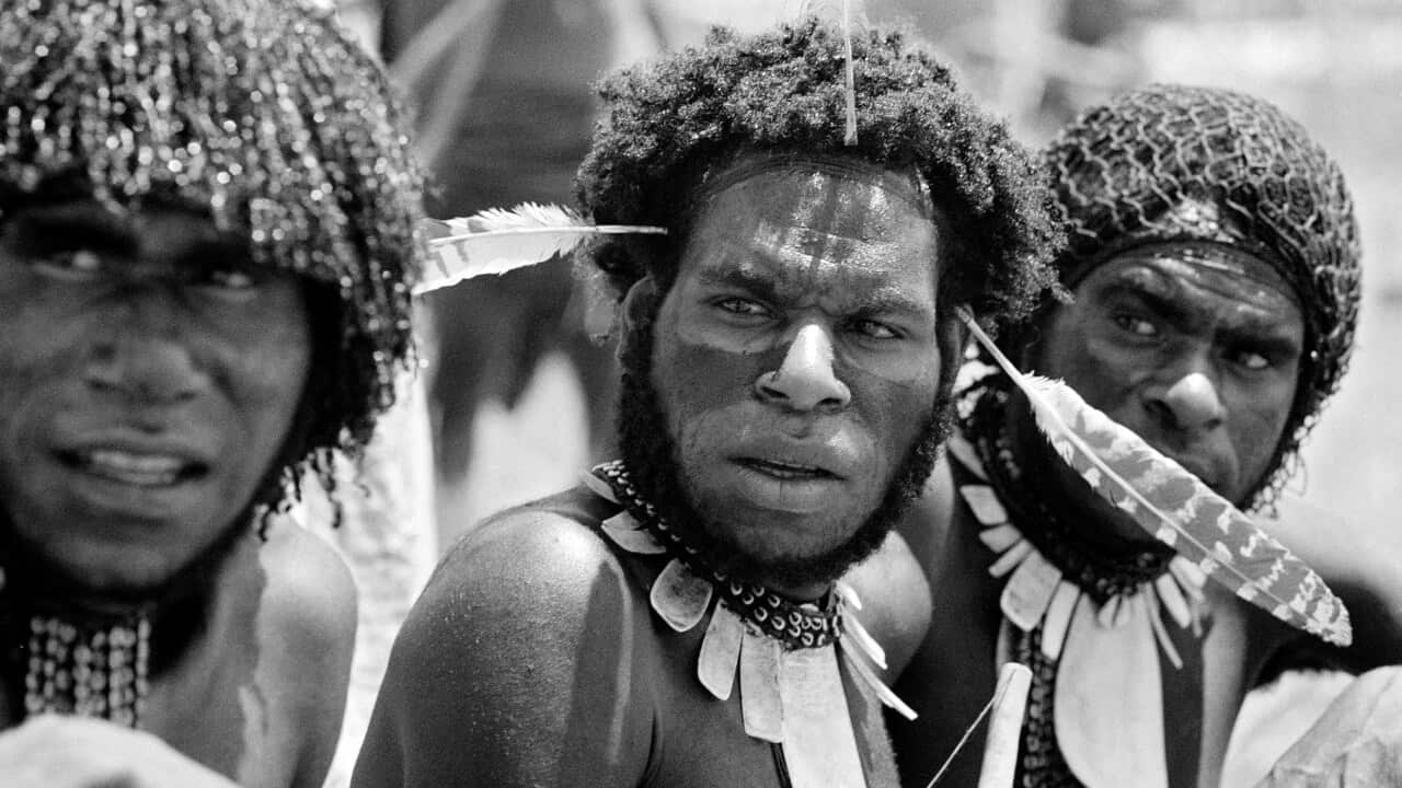 papuan.jpg