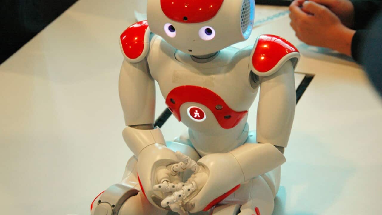 Our robot future on display in Brisbane