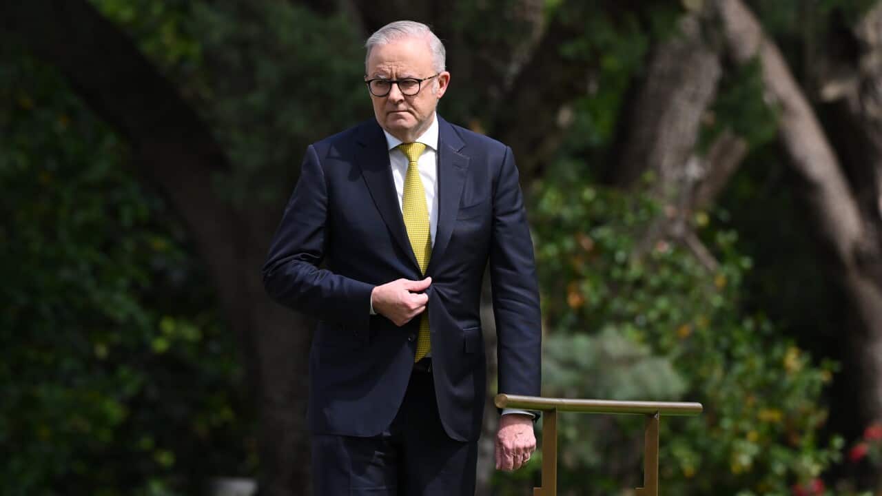 Anthony Albanese wears a black suit and yellow tie