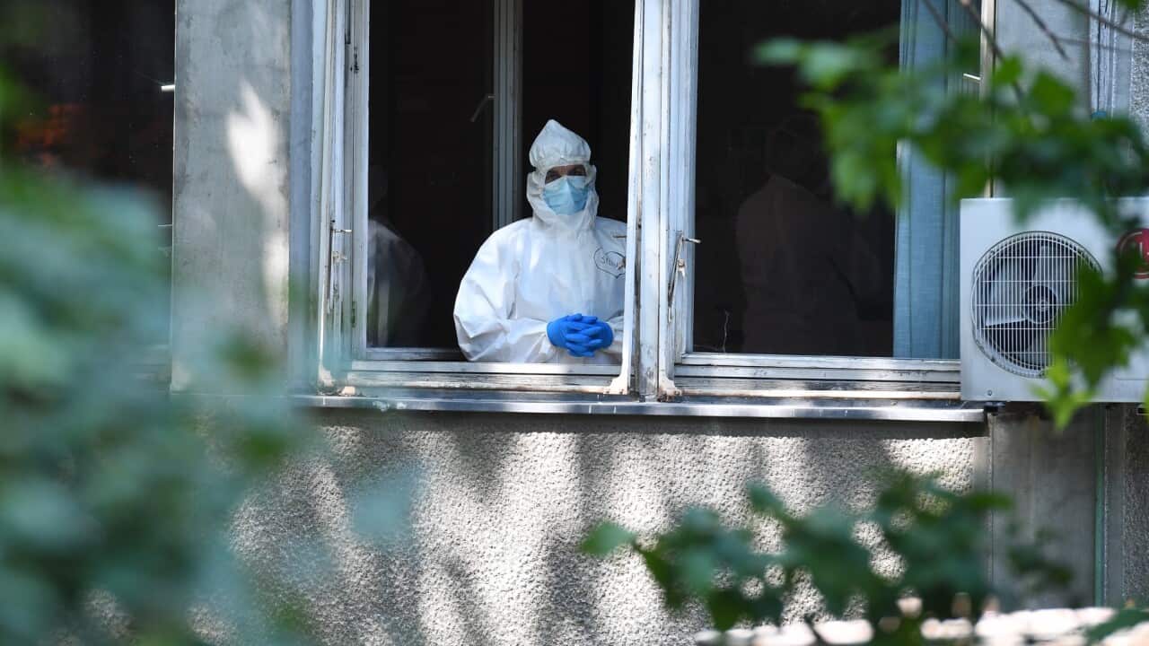 Medical worker at the department of infectious diseases clinic in Belgrade.