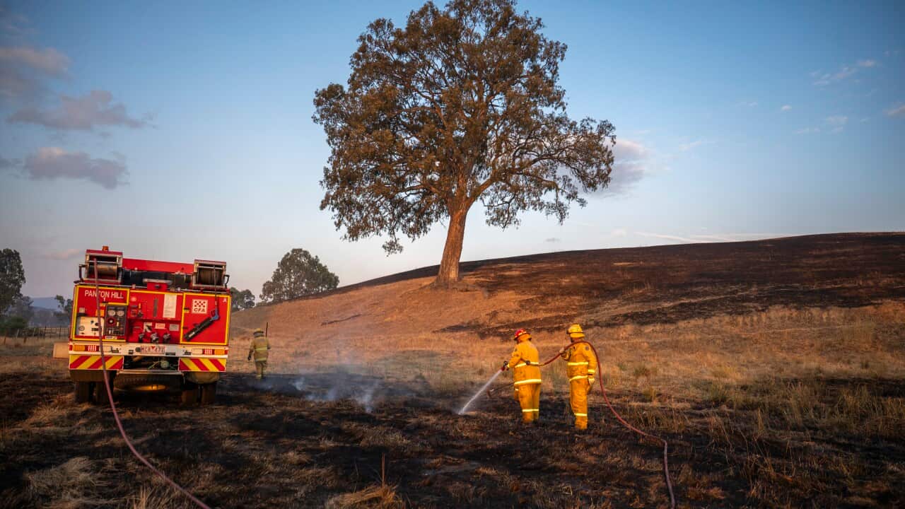 Victorian Bushfires in Australia - 10 Jan 2026
