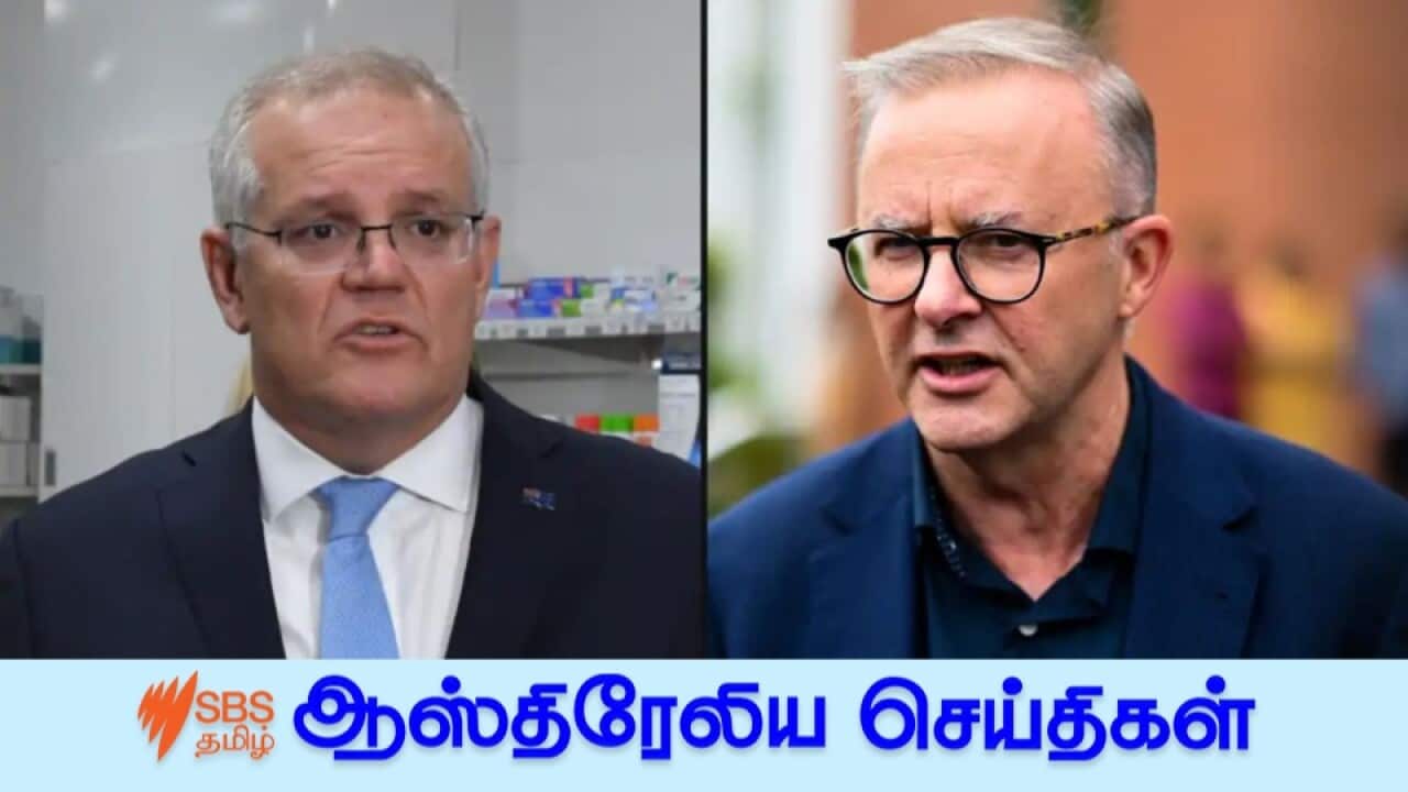 Morrison and Albanese