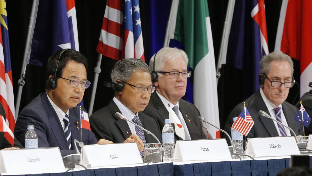 TPP negotiators