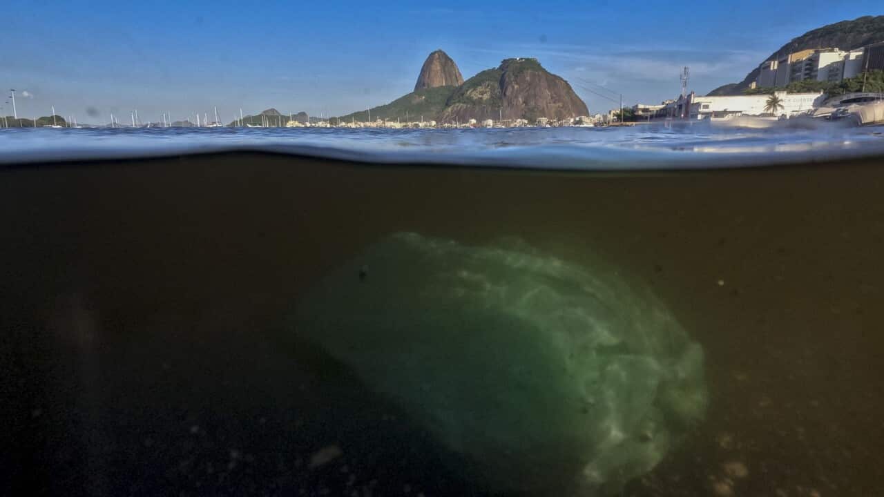 Image for read more article 'READ MORE'