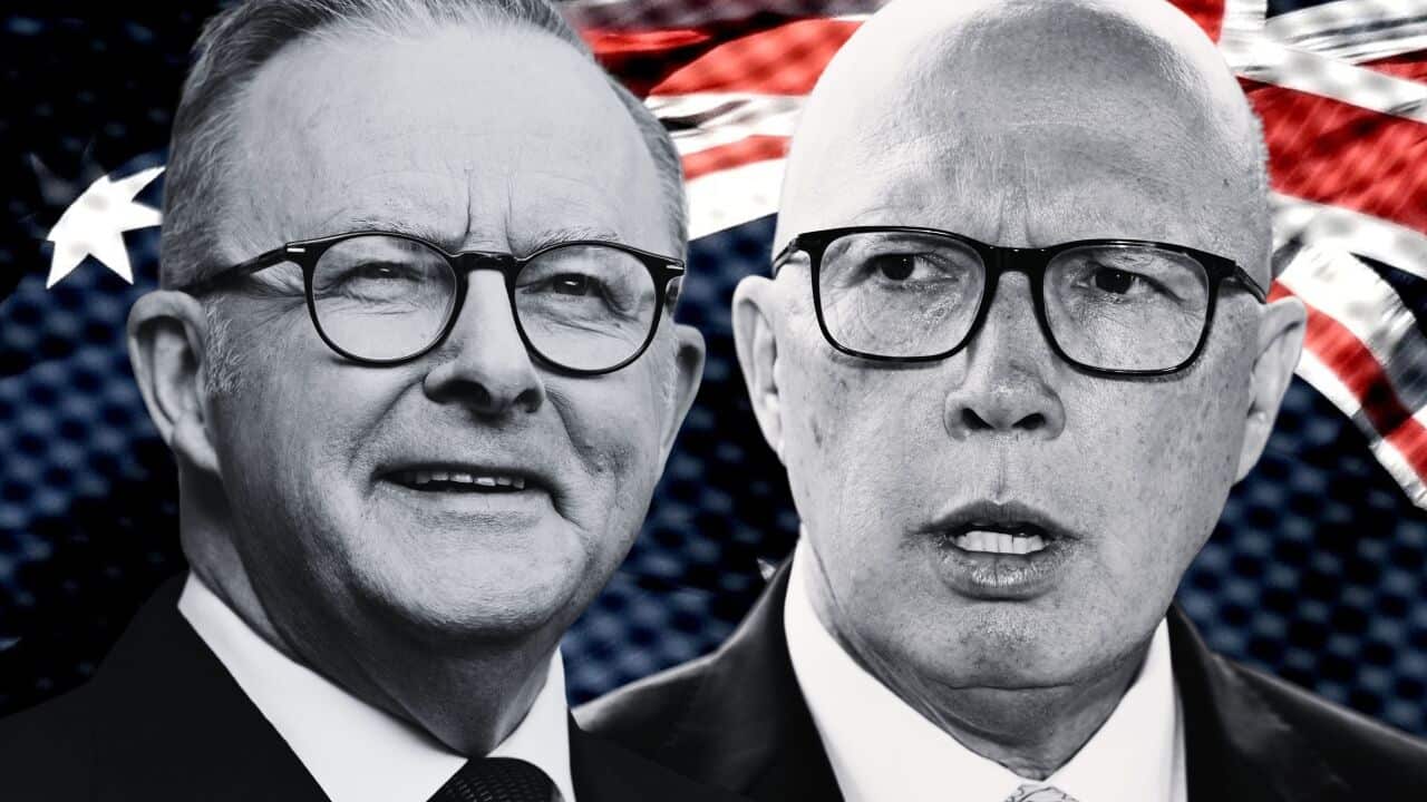 ELECTION25 GRAPHICS