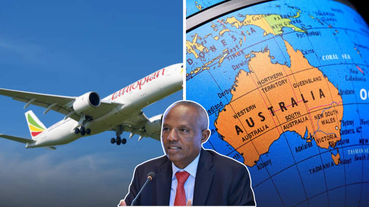 EAL Mesfin Tasew.png