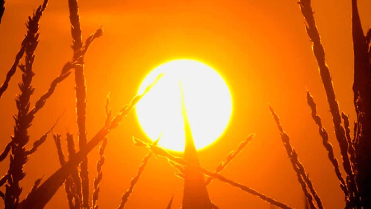 HOT, climate change, global warming