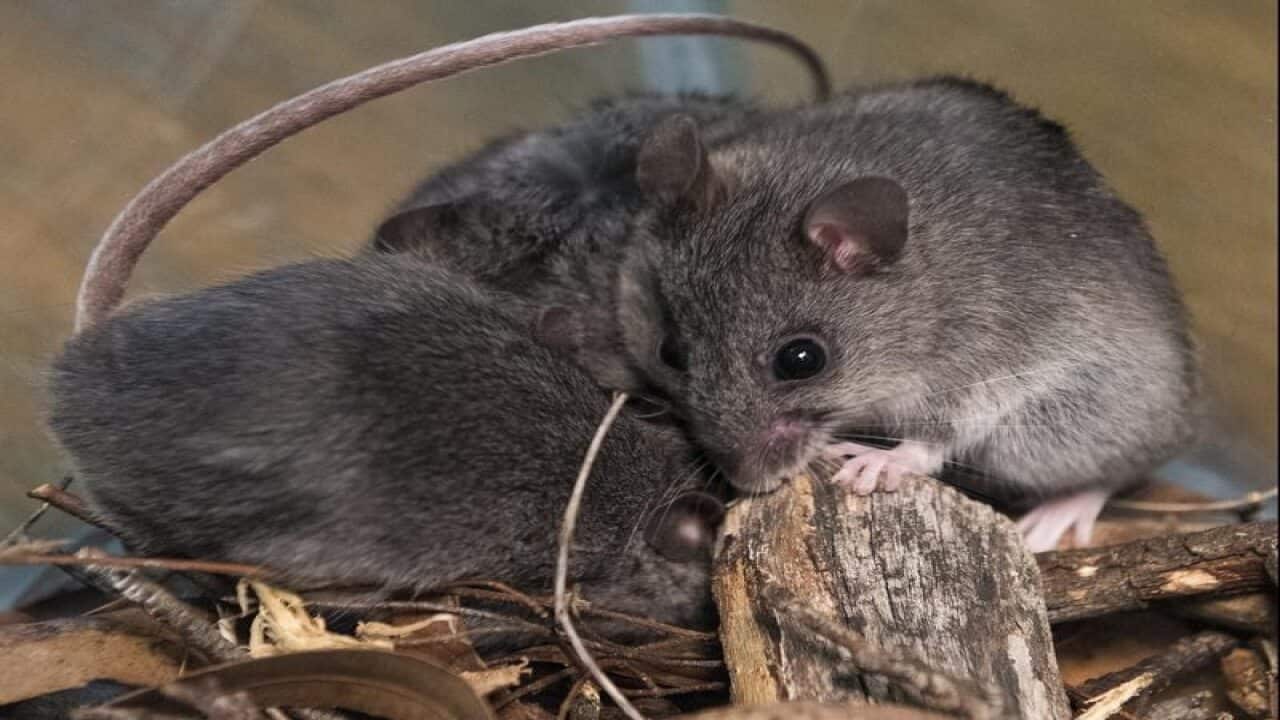 Image for read more article 'READ MORE'