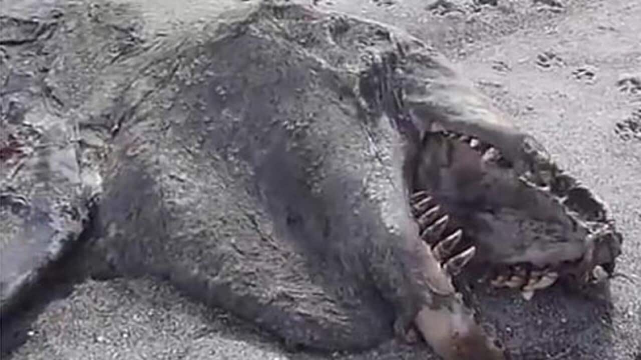 monster pic_1469720667