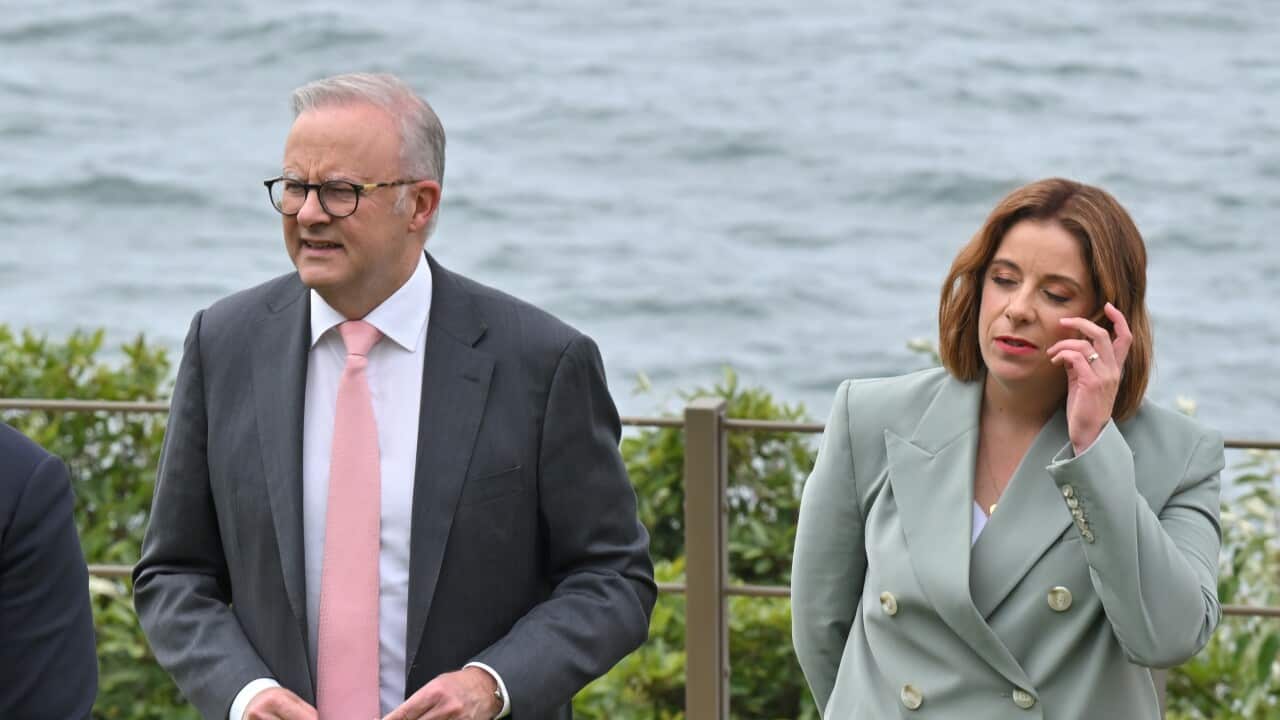 ANTHONY ALBANESE SOCIAL MEDIA BAN EVENT