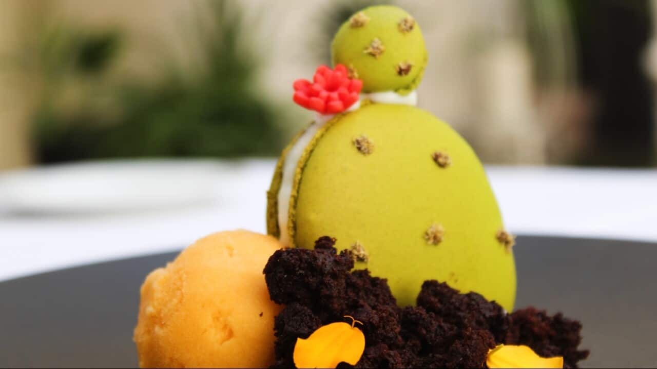 Il dessert con gelato al fico d’india con macaron al pistacchio ripieno di crema di ricotta e crumble al cioccolato.