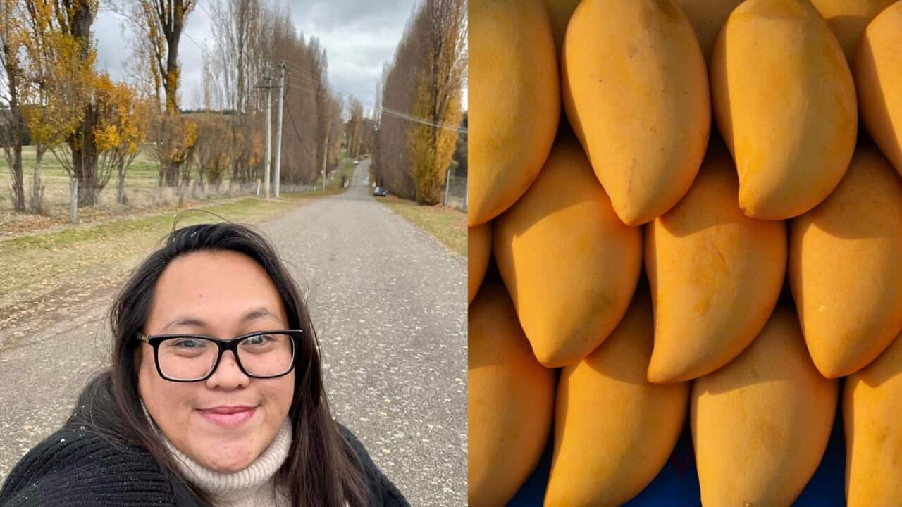 Architect Ernette Tabalina and Philippine Mango.jpg