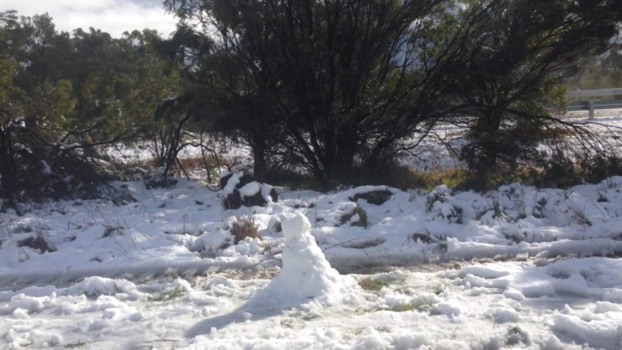 Snow by the Hume Highway near Berrima.