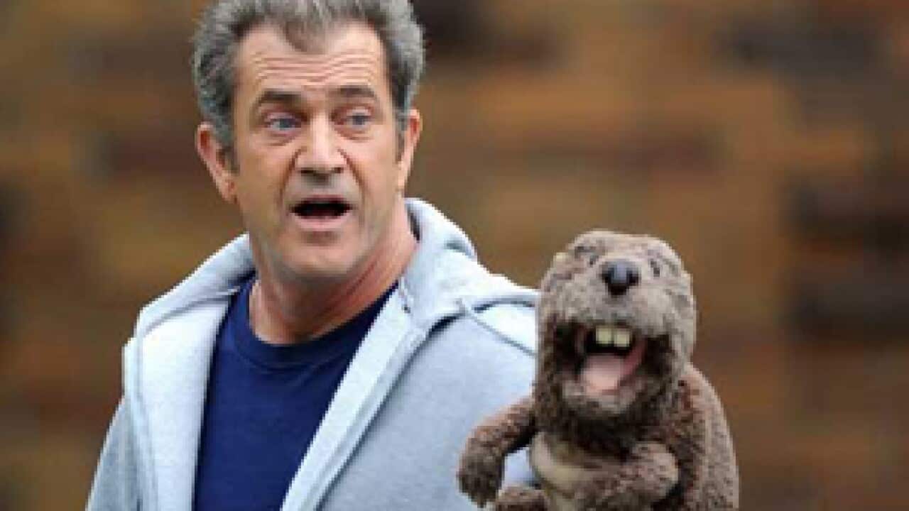 beaver_the_301_139219115