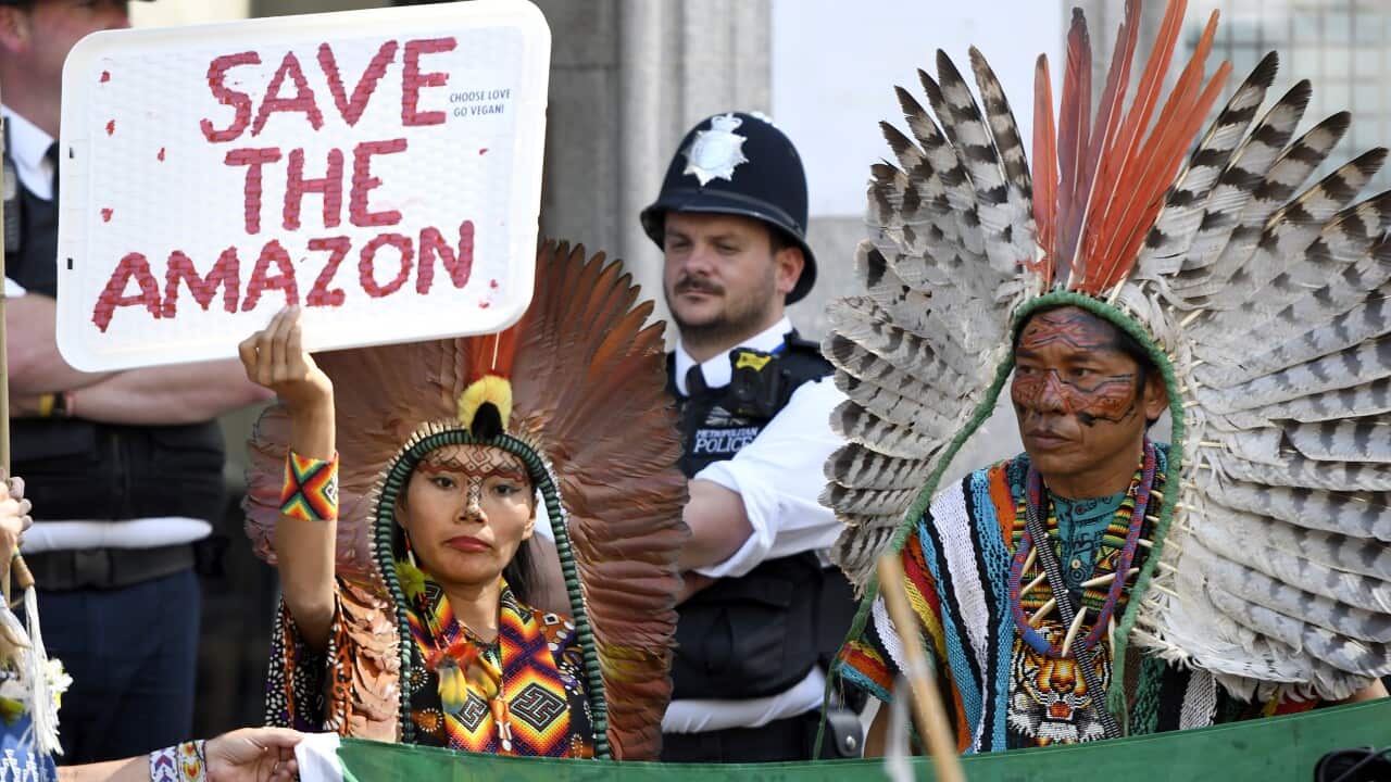 Extinction Rebellion protest the amazon rainforest burns in London, UK - 23 Aug 2019