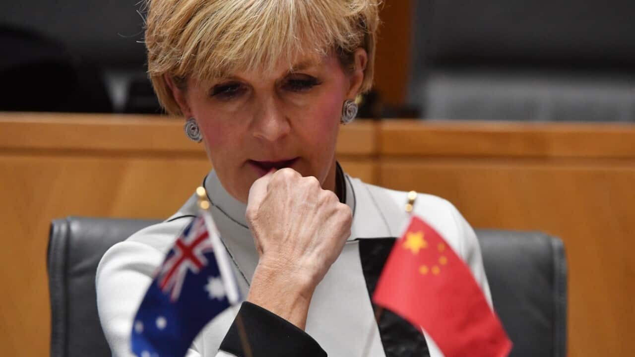Minister for Foreign Affairs Julie Bishop at an Australia-China Business Council event in Canberra, Thursday, June 15, 2017.