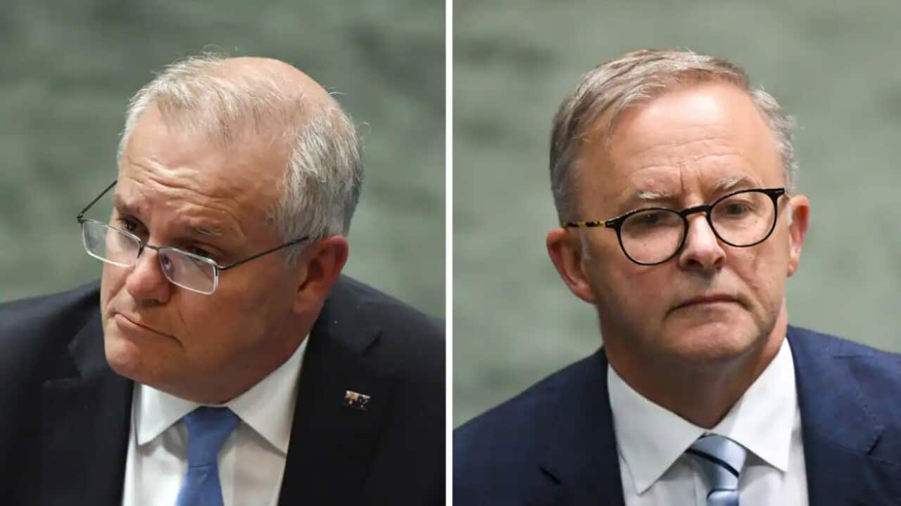 Prime Minister Anthony Albanese and former Liberal leader Scott Morrison