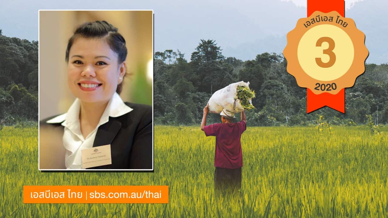 Image for read more article 'เรื่องราวที่น่าสนใจจากเอสบีเอส ไทย'
