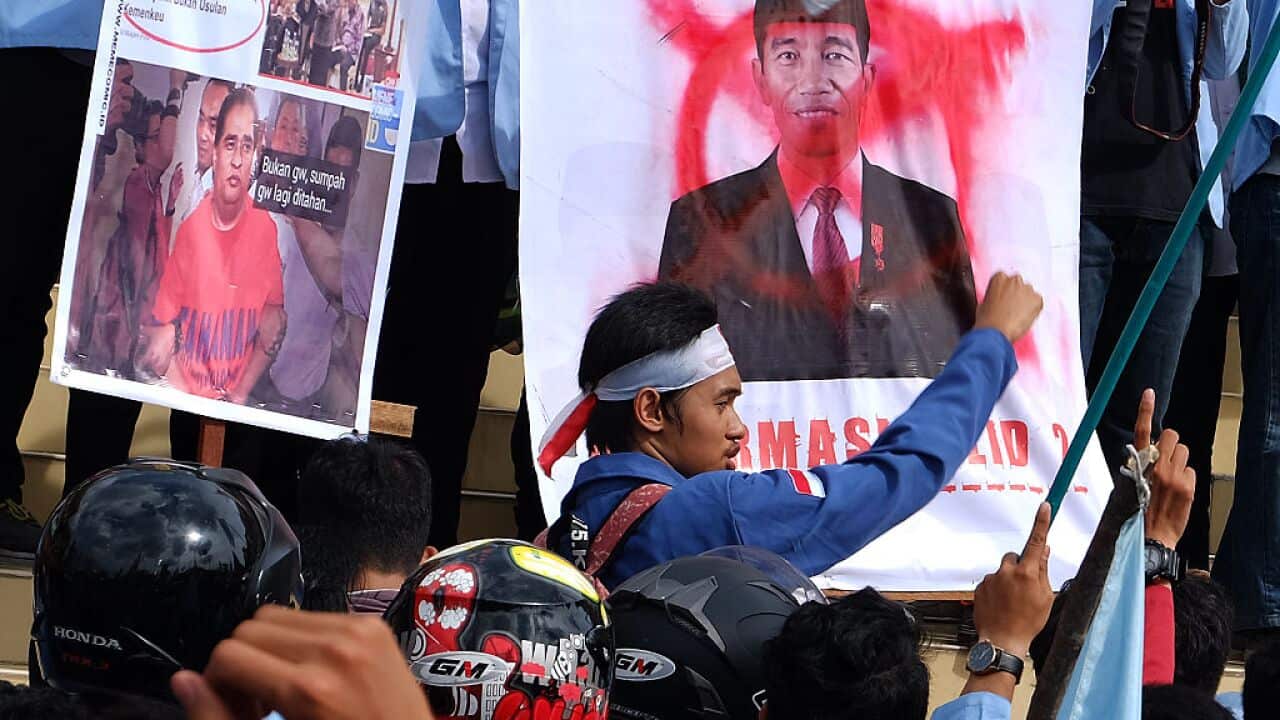 Students Across Indonesia Protest Against The President 