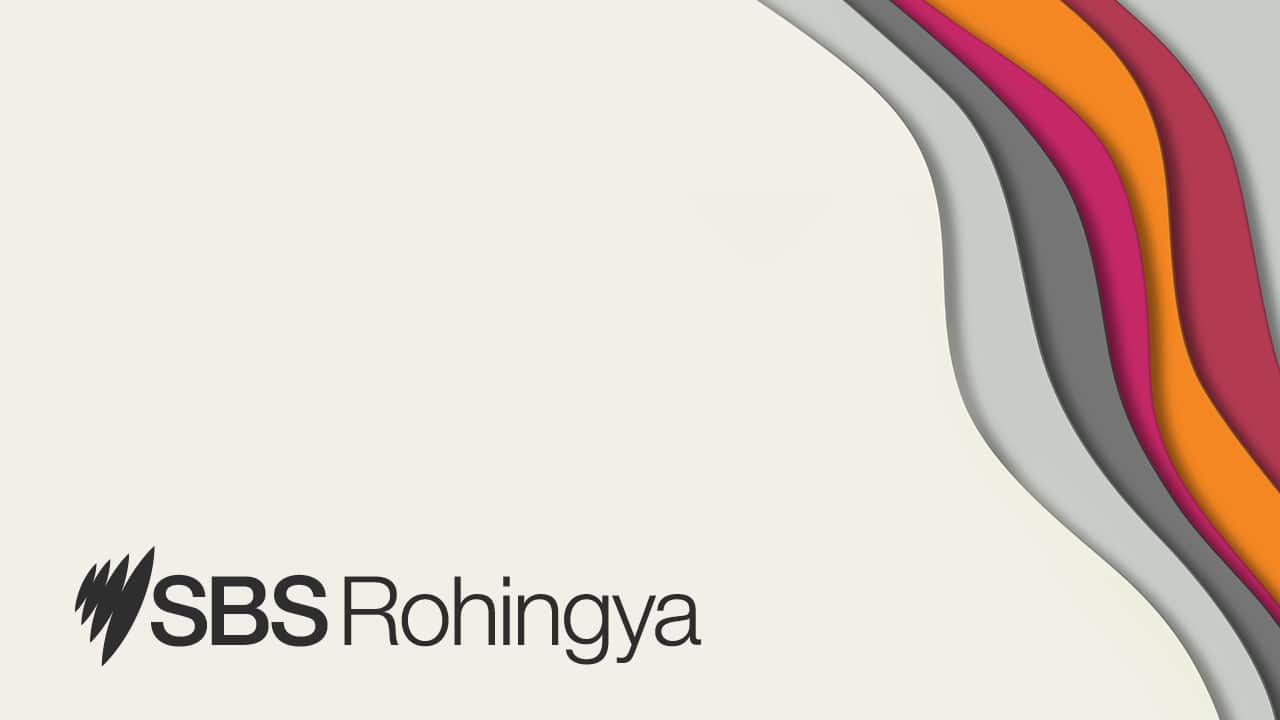SBS Rohingya