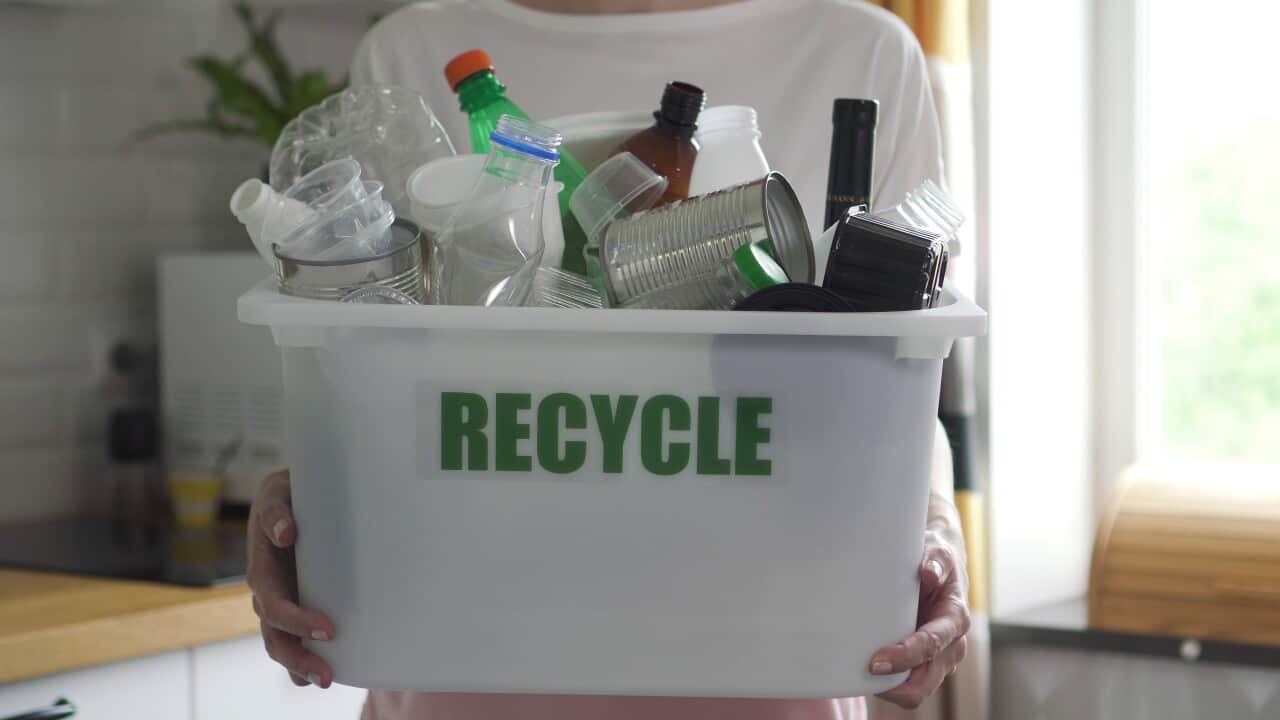 female-holding-recycle-container-box-with-trash-in-hands-spbd-basket-with-glass-canned-SBI-351083350.jpg