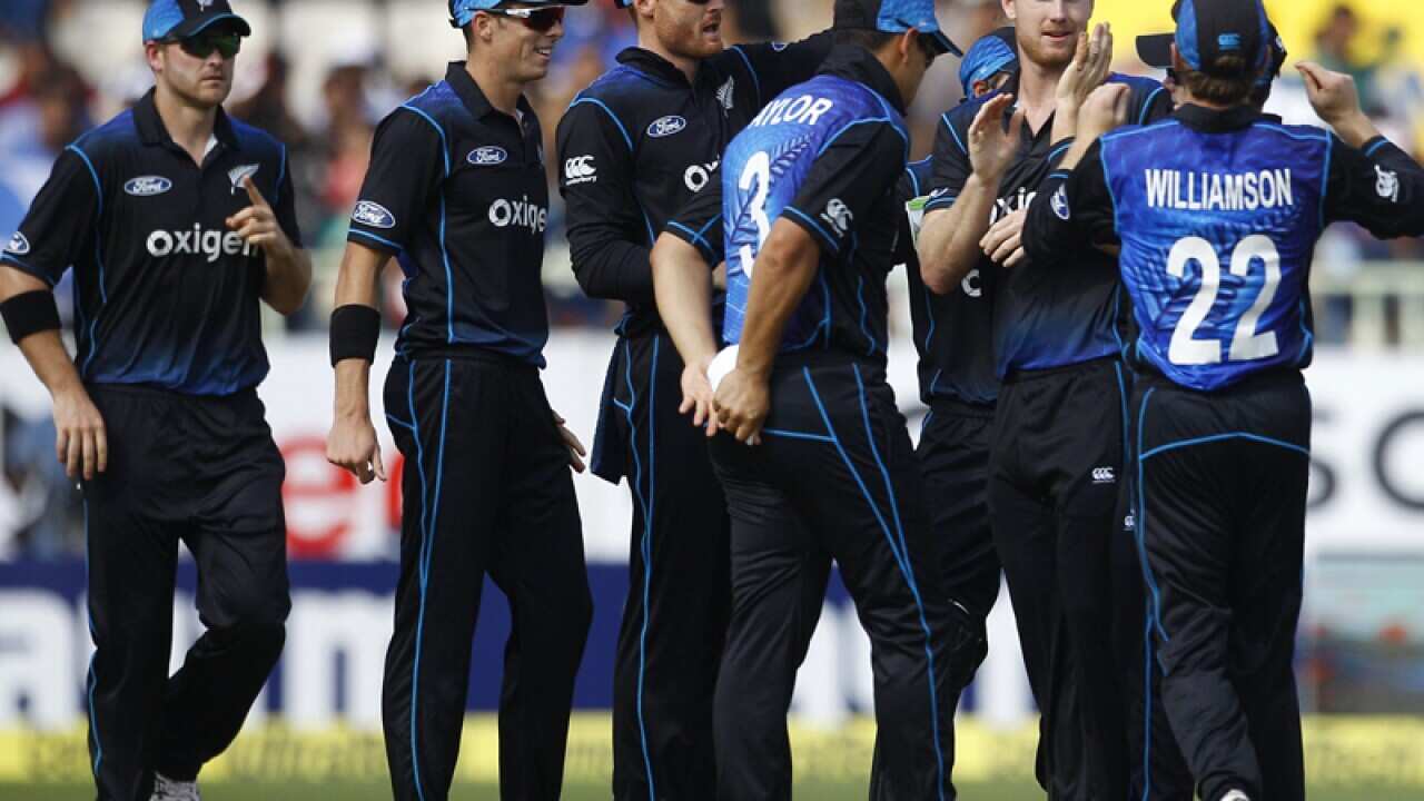 New Zealand cricketers celebrate a wicket