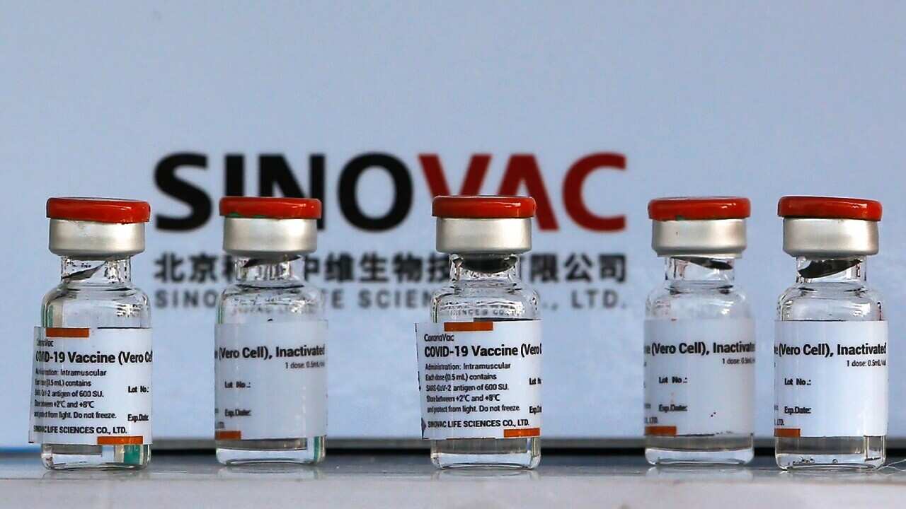 Vials of the Sinovac COVID-1 vaccine (Chaiwat SubprasomSOPA ImagesLightRocket via Getty Images).jpg