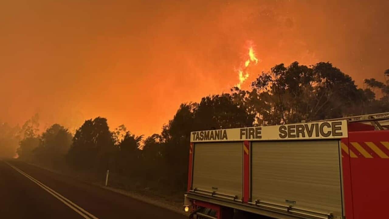 Tasmania Fire Service