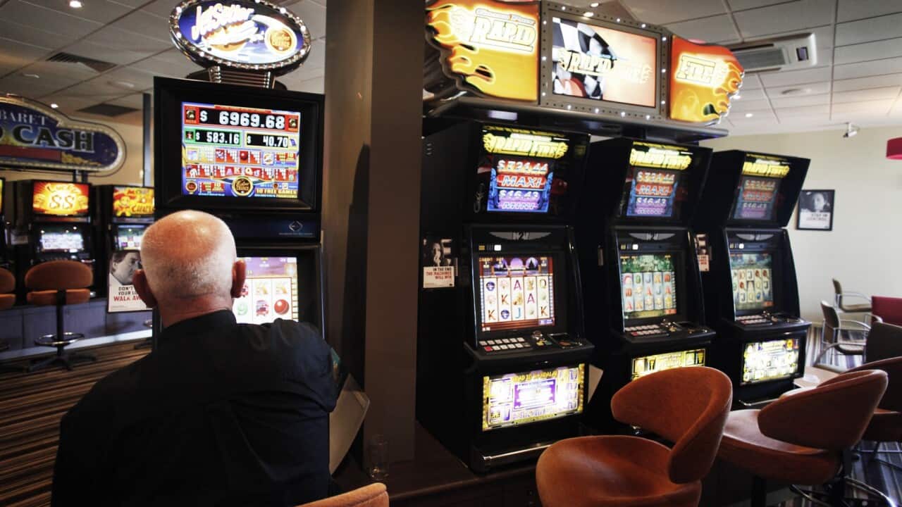 A man plays a pokie machine at a club in Altona, Melbourne