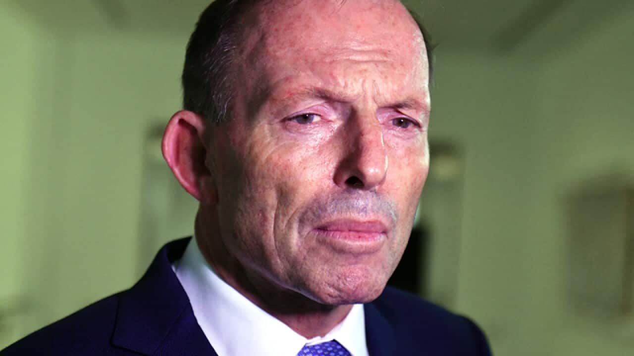 Former prime minister Tony Abbott