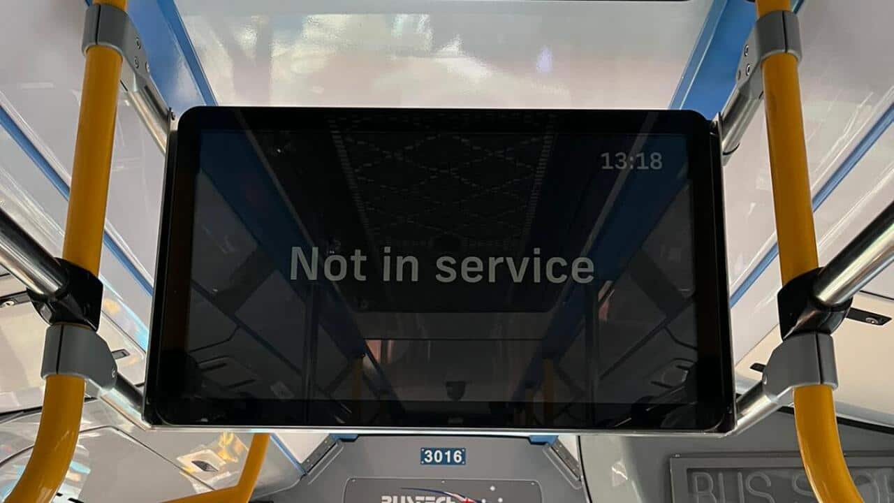 WhatsApp Image 2023-03-04 at 09.36.33.jpeg