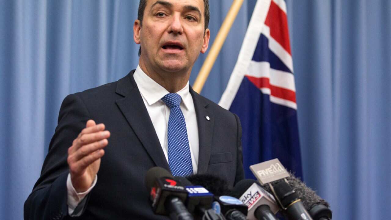 South Australian Liberal leader Martin Hamilton-Smith