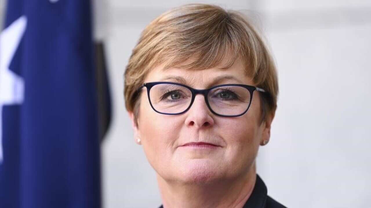 Liberal Senator Linda Reynolds.