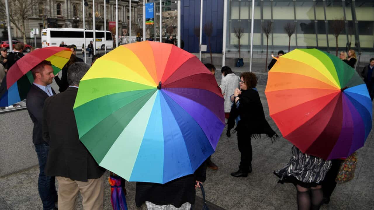 Supporters outside the High Court in Melbourne on Thursday, September 7, 2017. Same-sex marriage advocates have lost a High Court bid to stop the government's postal vote. (AAP Image/Joe Castro) NO ARCHIVING