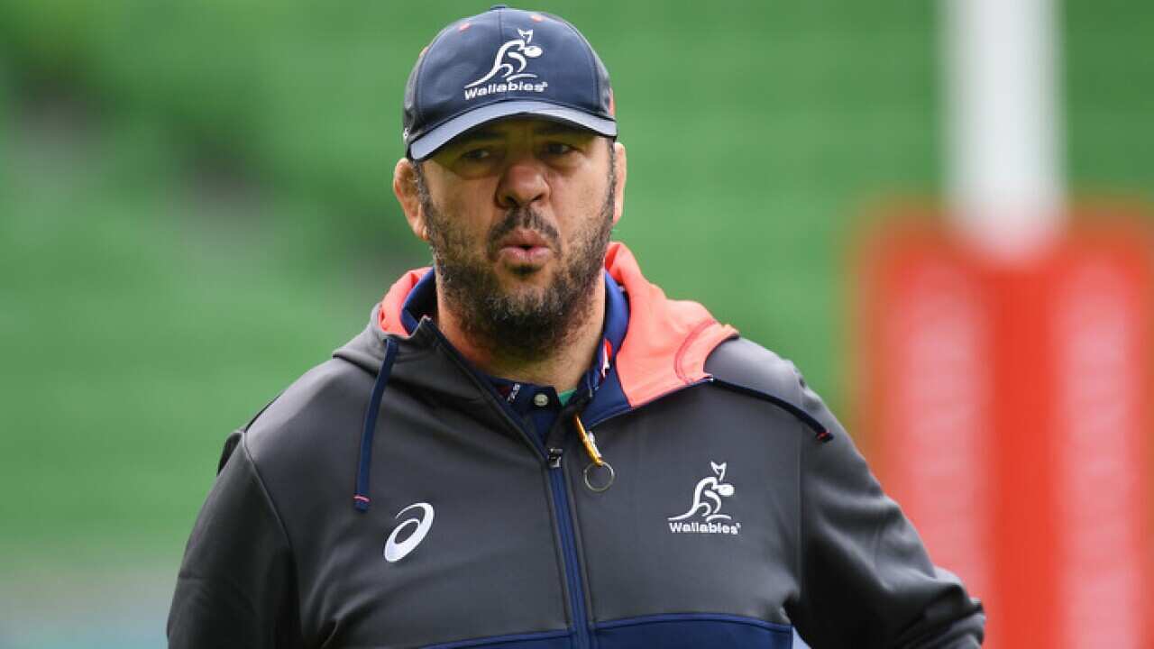Wallabies coach Michael Cheika