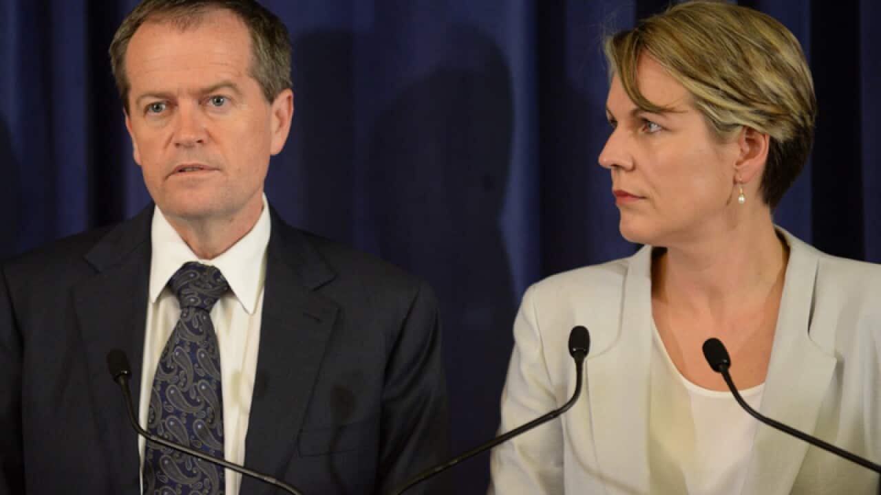 Deputy Labor leader Tanya Plibersek (R)