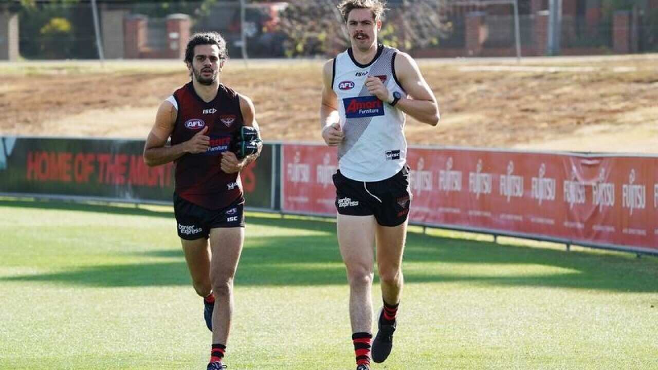 Joe Daniher
